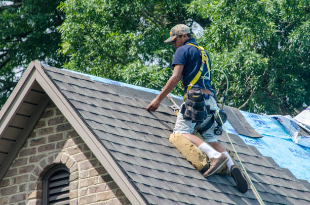 Best Local Roofing Companies  in Loganville, PA